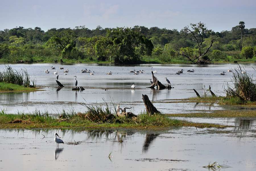 kumana-national-park-title-photo_orig